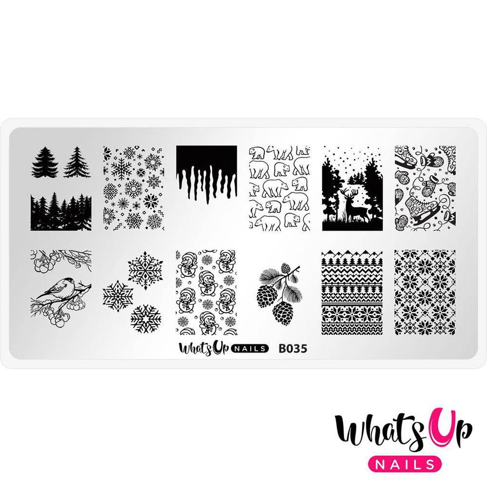 Daily Charme Nail Supply Stamping Plates Whats Up Nails / Icy Wonderland
