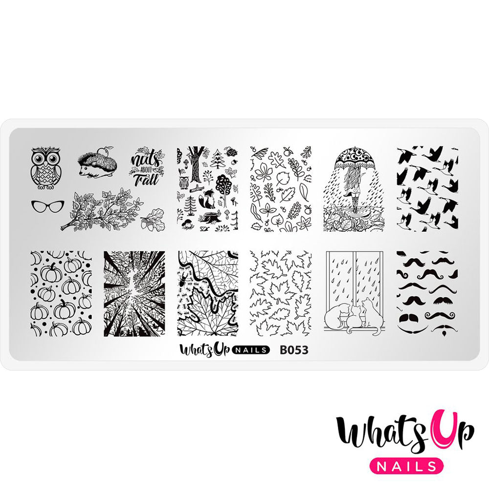 Daily Charme Nail Supply Stamping Plates Whats Up Nails / That