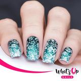 Daily Charme Whats Up Nails Stamping Plate / Coasting to the Sea