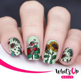 Daily Charme Whats Up Nails Stamping Plate / Summer in the Countryside
