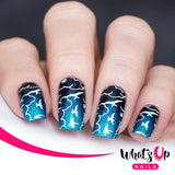 Daily Charme Whats Up Nails Stamping Plate / Summer in the Countryside