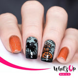 Whats Up Nails Stamping Plate for Halloween Nails / No Clowning Around 